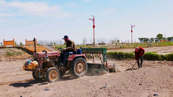 瓜州县三道沟镇蹚出"花样"乡村振兴路_新浪财经_新浪网