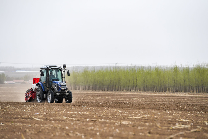 在吉林省四平市梨树县四棵树乡，农民驾驶农机进行春耕作业（4月20日摄）。新华社记者张楠摄