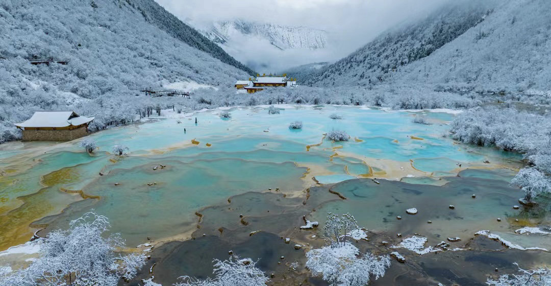 c视频丨五月飞雪,来黄龙看雪与花浪漫绽放