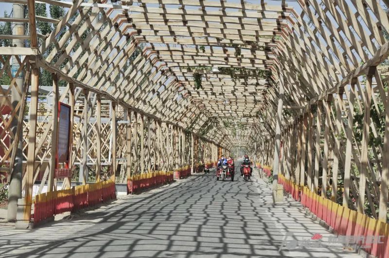 洛浦县恰尔巴格镇阔恰艾日克村的葡萄长廊.