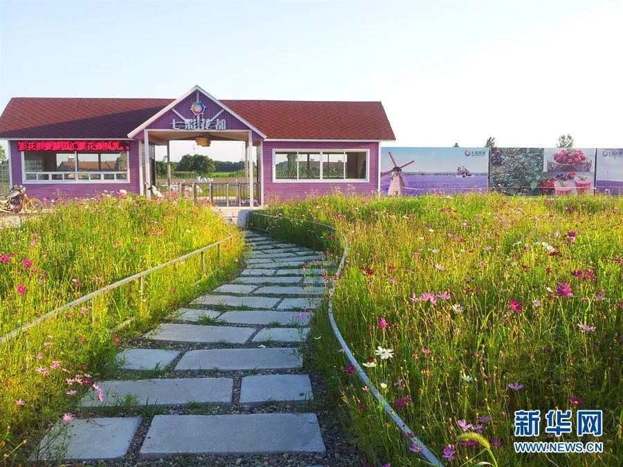 荆州市荆州区八岭山镇铜岭村七彩花都田园综合体(荆州市委宣传部供图)