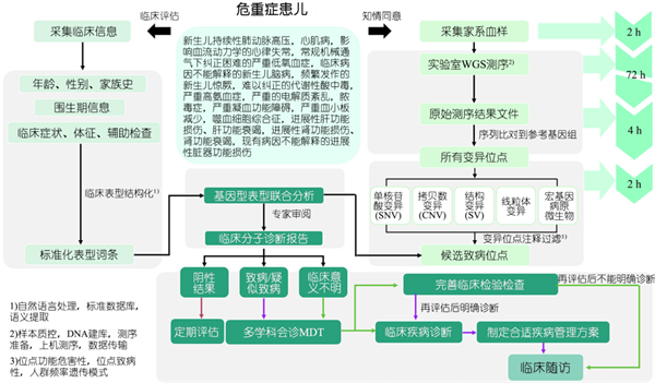 图? 专家共识：rWGS临床和实验室实施流程