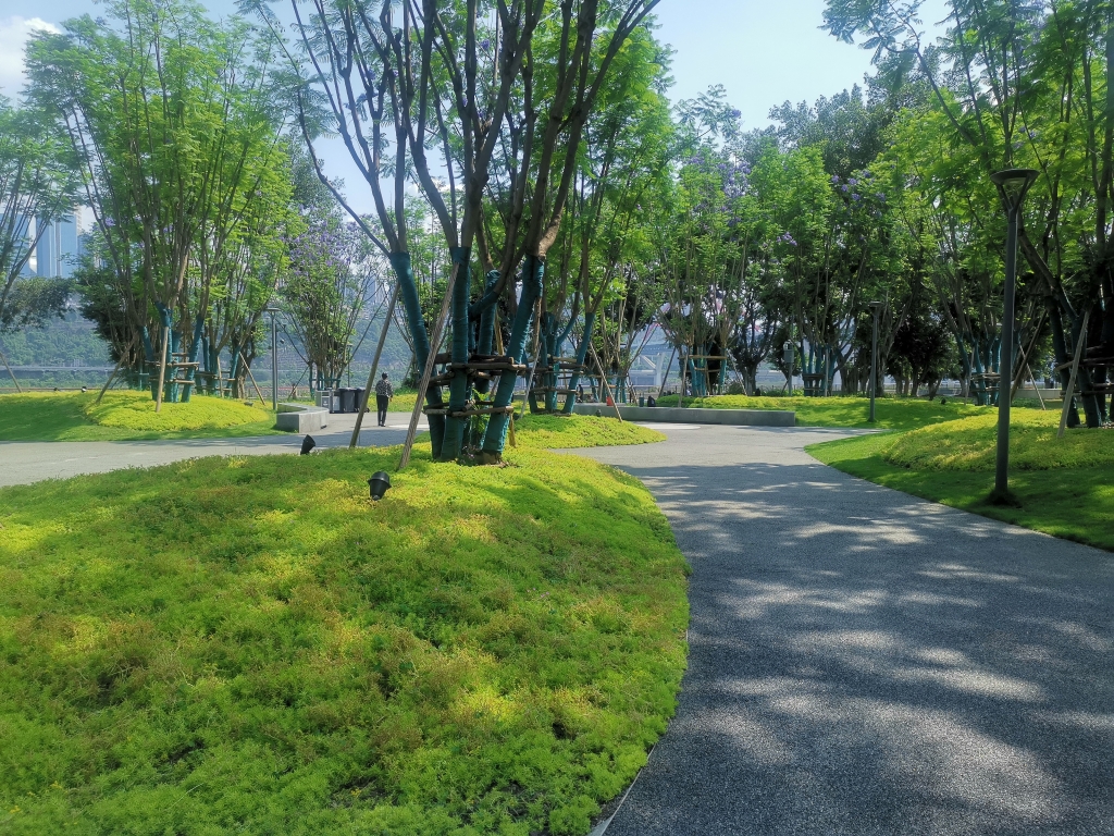 珊瑚公园.受访单位供图