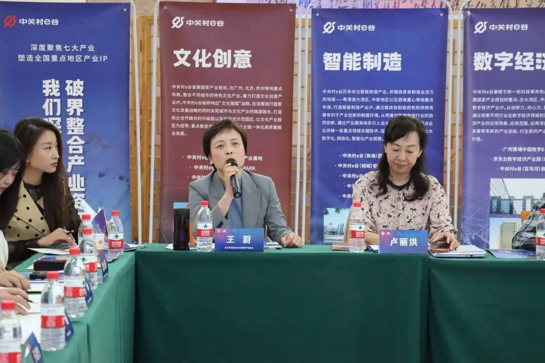 北京市海淀区文化创意产业协会秘书长  王蔚