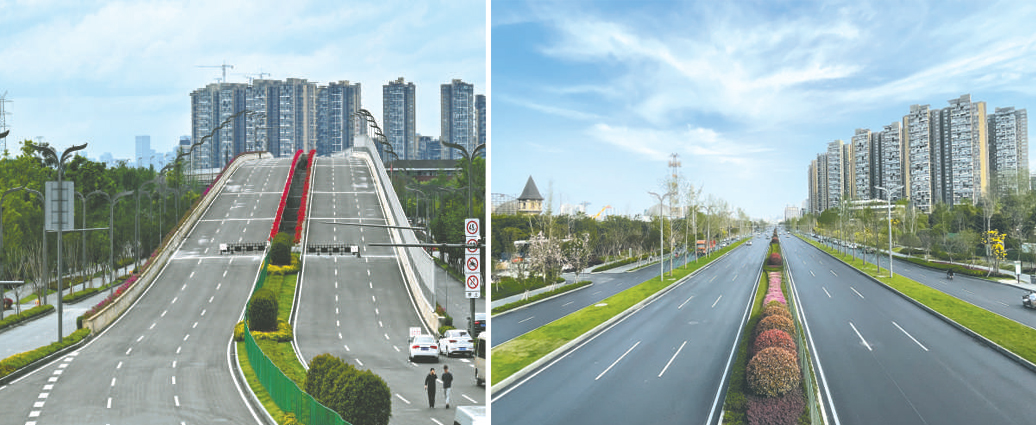 沙西线(西华大道)改造后标准段道路宽度57米,按照主道六车道,辅的四