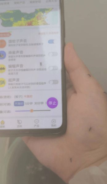 ▲测试人员测试驱蚊APP被叮惨