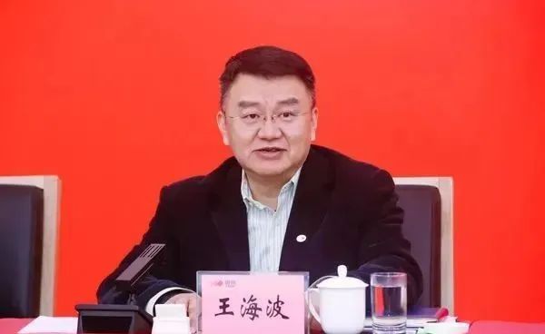 中央决定：王海波任中国电子科技集团董事长、党组书记！|王海波_新浪财经_新浪网