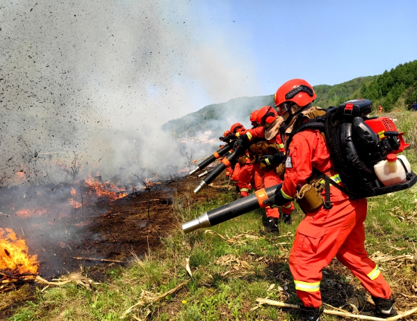 森林消防队伍与地方应急等多部门更好完成防火战备任务的重要联合行动