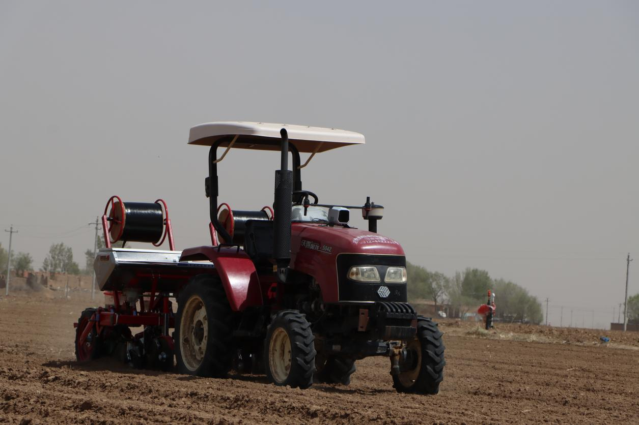 (安装有北斗卫星导航系统的玉米播种机确保种子同时出苗,保苗率高