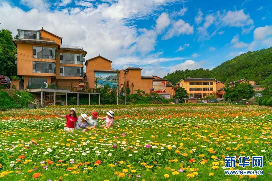 产业有新品治理出新招看广西德保乡村振兴闯新路