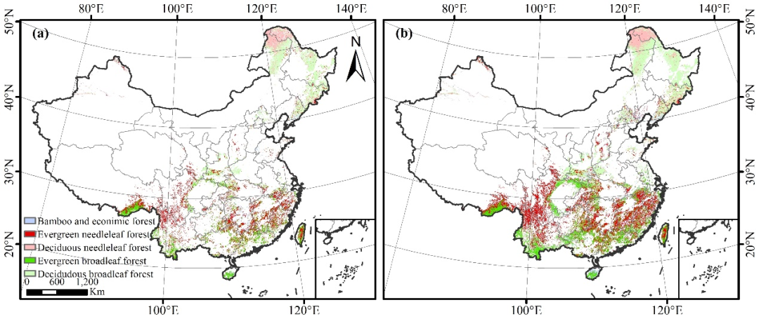 图1 &nbsp;中国森林类型的空间分布:(左)1980年;(右)2015年