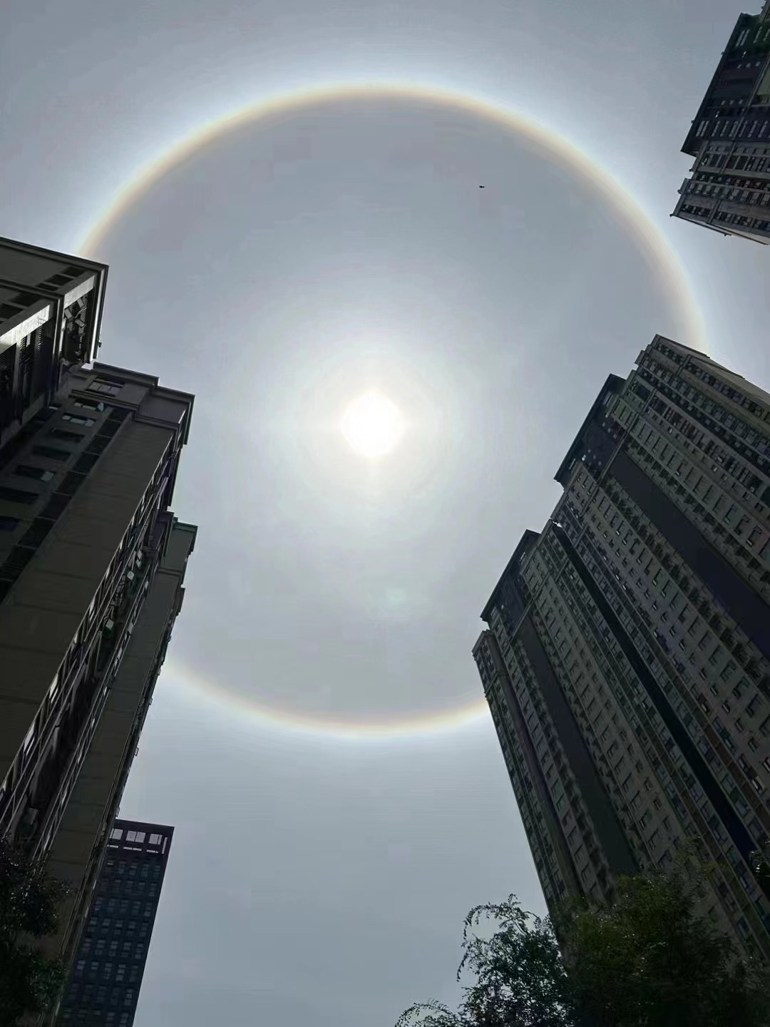 95这一场景网友们纷纷记录下荆州上空出现了美丽日晕刚刚太阳戴美瞳