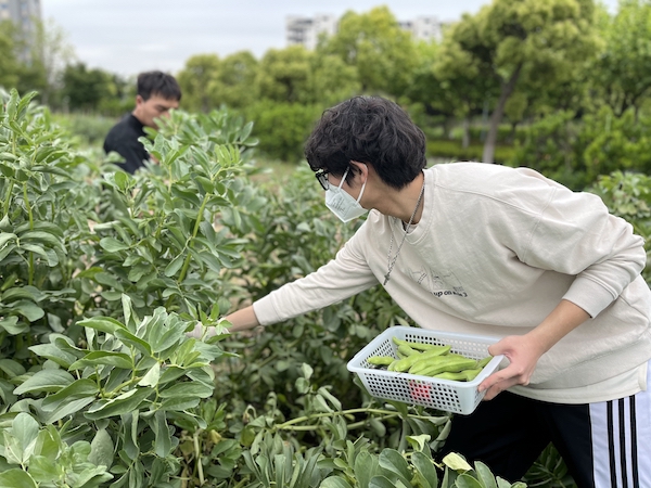 从播种到端上餐桌 学生全程参与,还给劳动教育的成果取了好听的名字