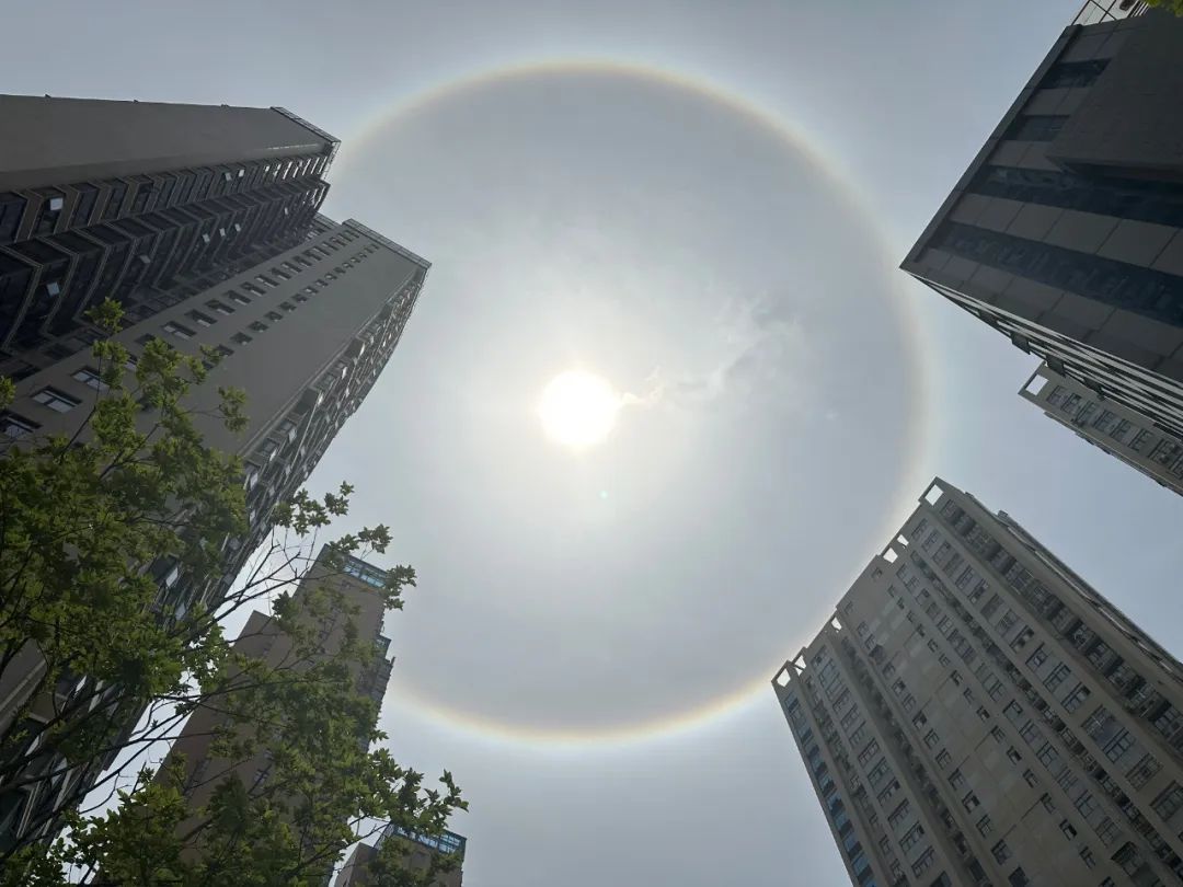 罕见!黄石上空惊现日晕奇观!你拍到了吗?|冰晶_新浪财经_新浪网