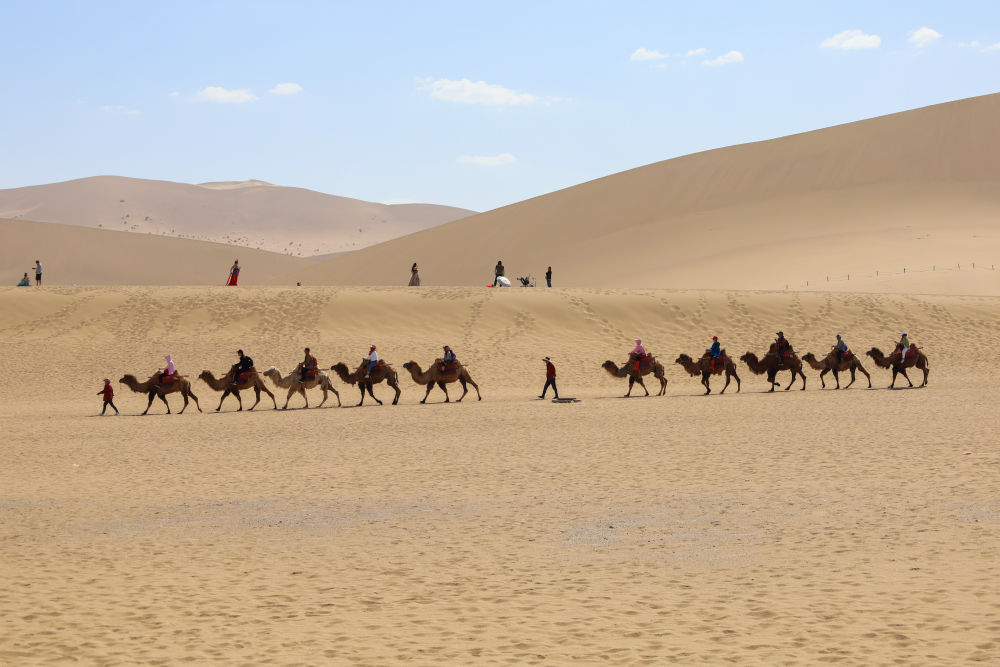 5月11日,游客在鸣沙山月牙泉景区骑骆驼观光.
