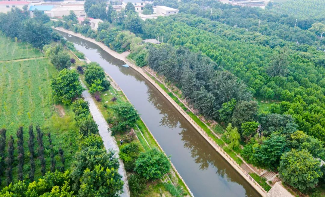 太行泉城 美丽邢台|清波荡漾宁晋泊 河湖久治碧水流