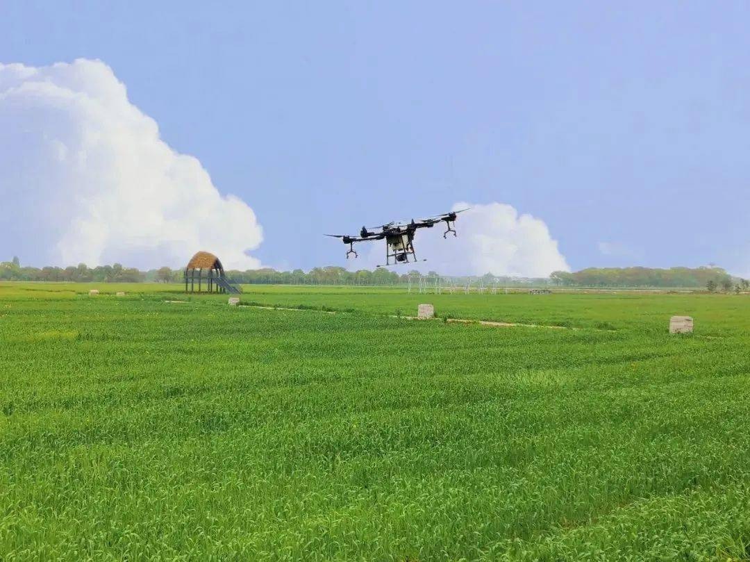 锡山区农业数字化综合运营服务平台启用农情信息首次实现数字统筹