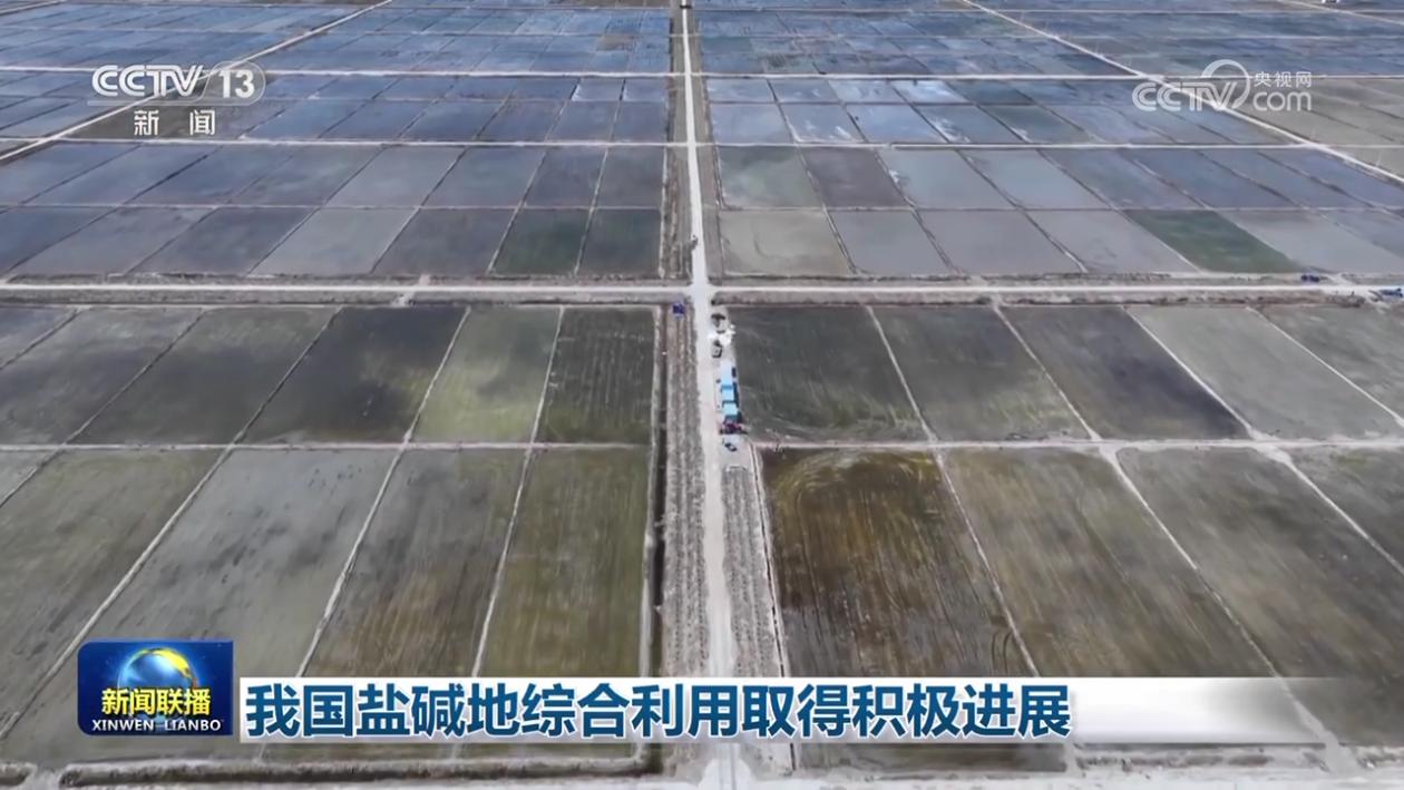 我国盐碱地综合利用取得积极进展_新浪财经_新浪网