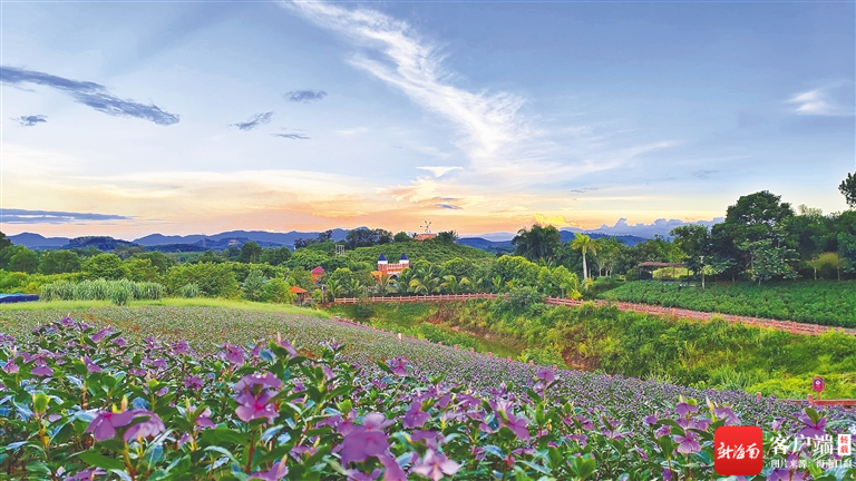 屯昌县梦幻香山共享农庄一角.受访者供图