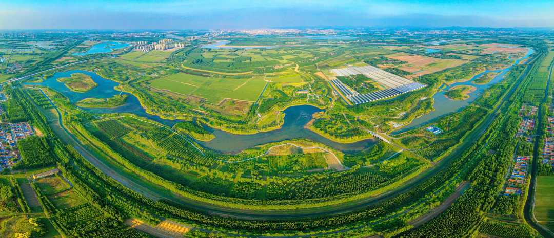 5月15日,德州市齐河县黄河水乡国家湿地,碧波荡漾,景美如画.
