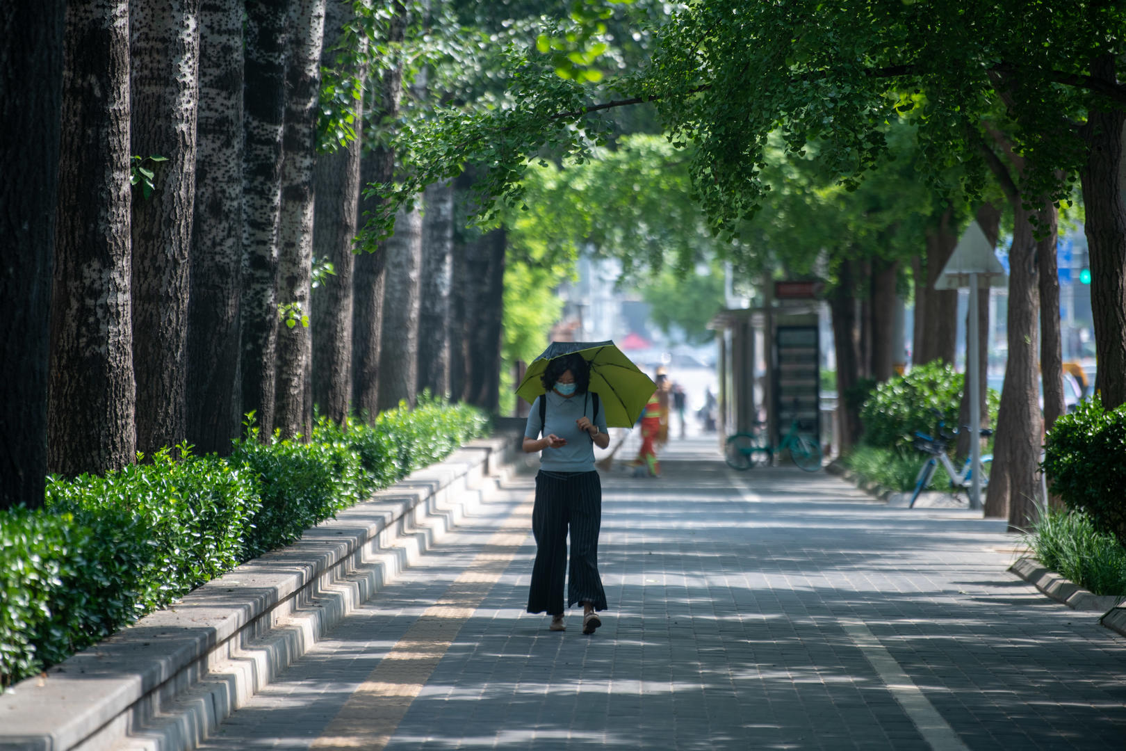 ↑5月15日，当日14时北京南郊观象台气温32.3℃。图据IC photo