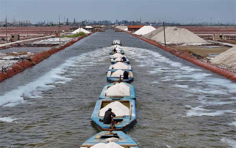 5月14日,唐山市曹妃甸区南堡盐场的工人在将收获的春盐运出盐场(无人
