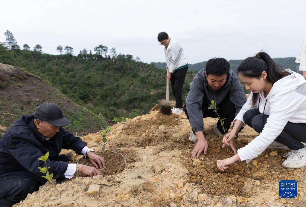 5月14日,李秀雄(左一)一家和工人在四川省荣县东兴镇长兴林场一处山坡