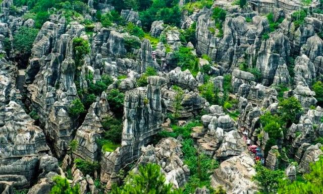 万盛石林万盛黑山谷和石林景区也宣布在5月19日当天对所有游客免门票