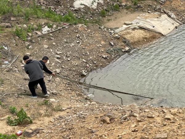 在安徽宣城,记者跟着他们去找野生扬子鳄|李雷_新浪财经_新浪网