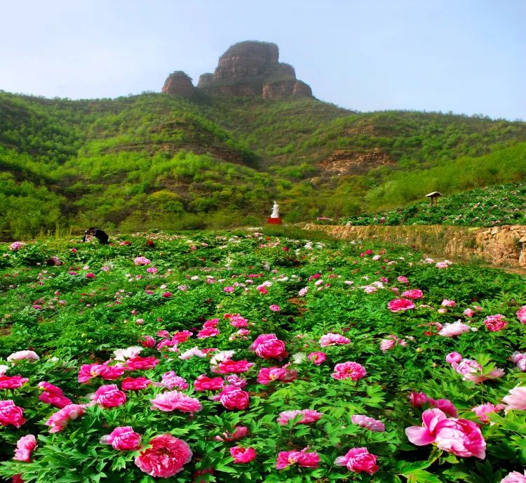太行泉城 美丽邢台|碧水青山秦王湖|邢台市_新浪财经_新浪网