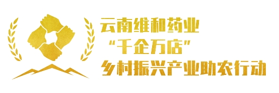 维和相伴,健康平安