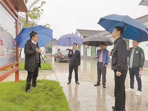 我随书记去调研中国品质油茶第一村如何打造衡南县委书记胡果雄调研