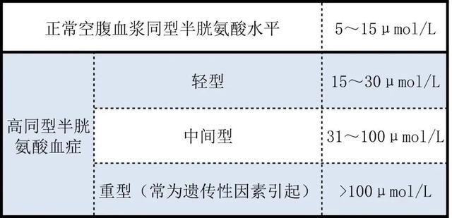 "同型半胱氨酸"是个什么指标?|维生素_新浪财经_新浪网