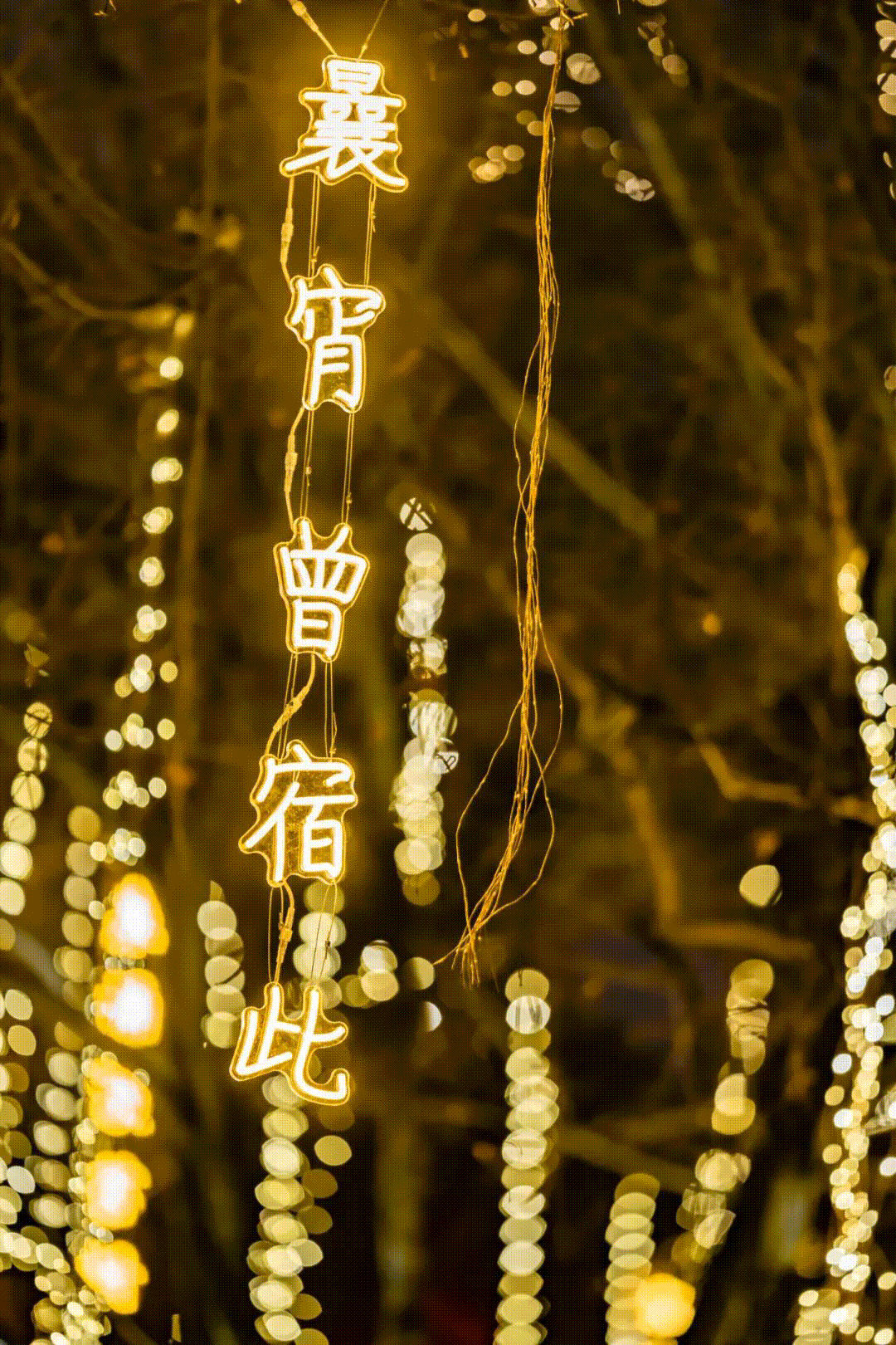 图丨西安文旅之声