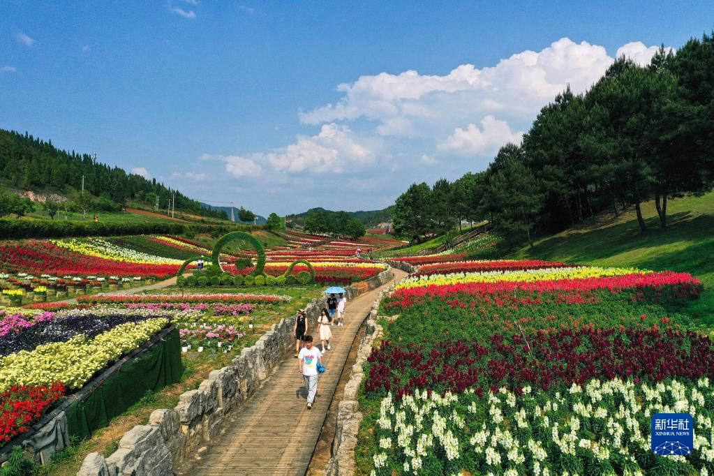 5月17日,游客在贵州省麻江县宣威镇药谷江村赏花(无人机照片).