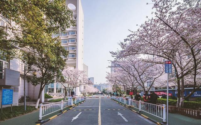 同济大学校园春色.图片来自同济大学官网