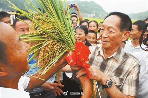 守望世纪粮仓 ——写在袁隆平院士逝世两周年之际|院士_新浪财经_新浪