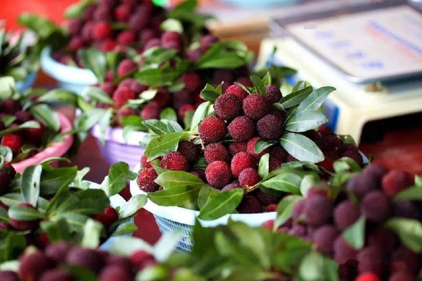 520金灶杨梅节去奔赴一场酸甜之约|杨梅_新浪财经_新浪网