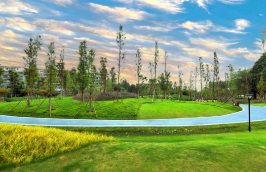 梓潼宫tod·汀蘭:城西"宝藏级"真洋房