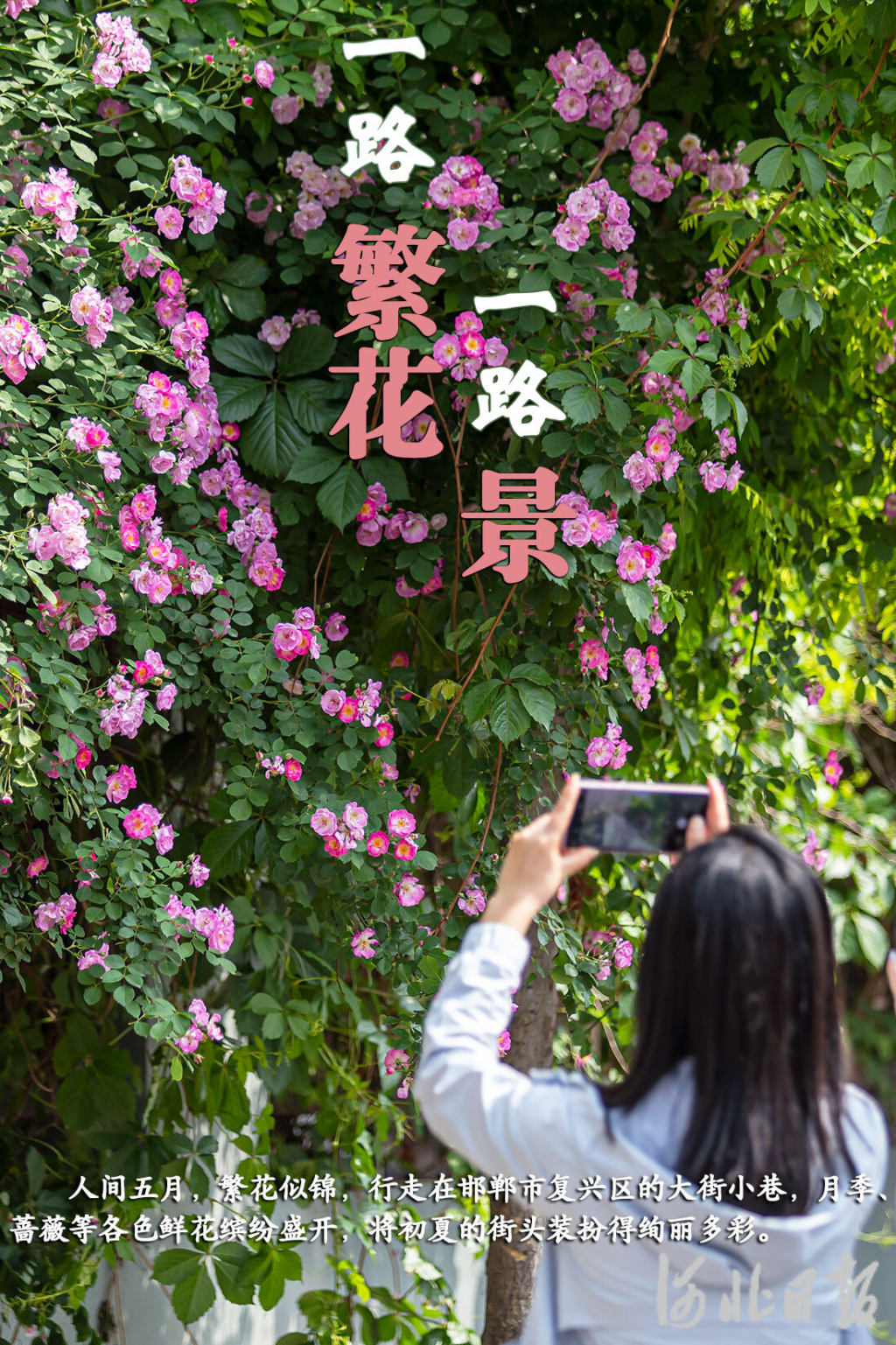 按图索冀|一路繁花一路景|河北省_新浪财经_新浪网