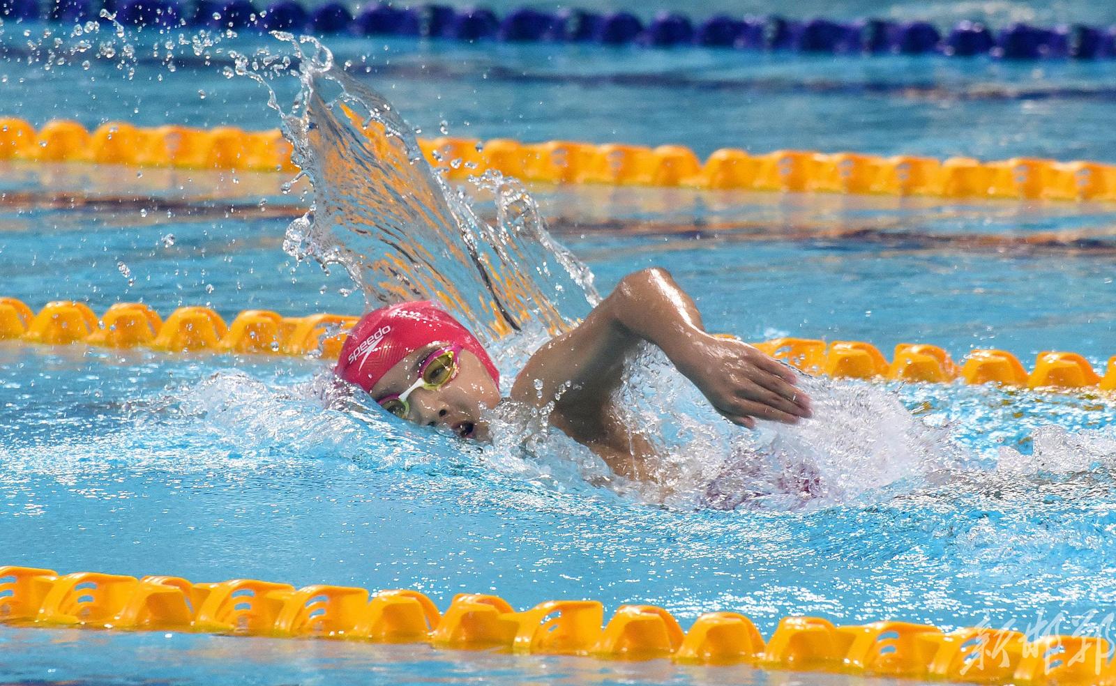 【聚焦河北省第十六届运动会】"浩沙fafa"杯青少年游泳锦标赛开赛