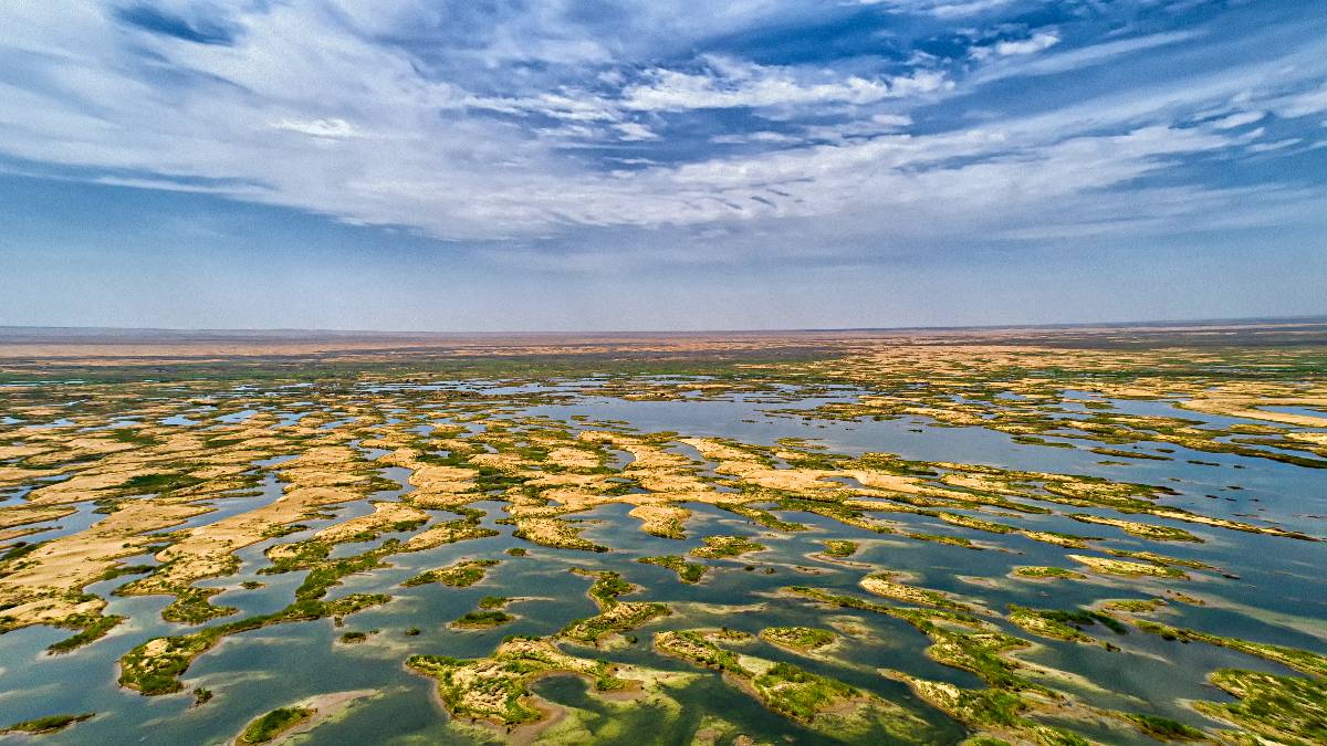 库布其沙漠出现“水生态”。资料图片