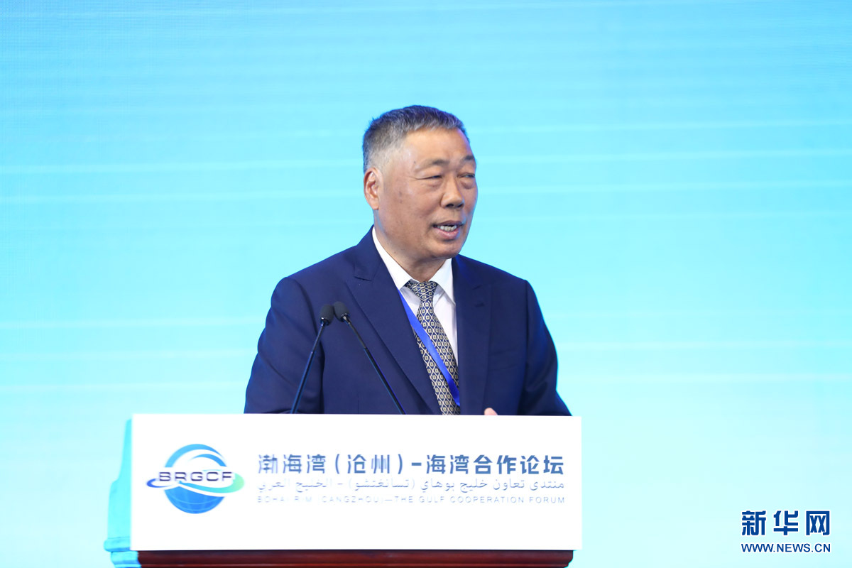 国务院参事张红武致辞.李忠灿摄