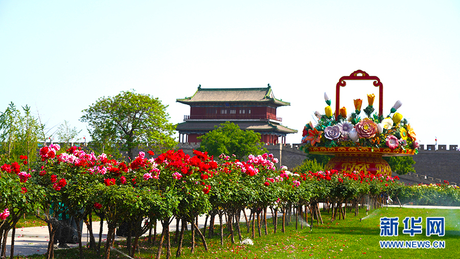 新华网发 赵洁霖摄