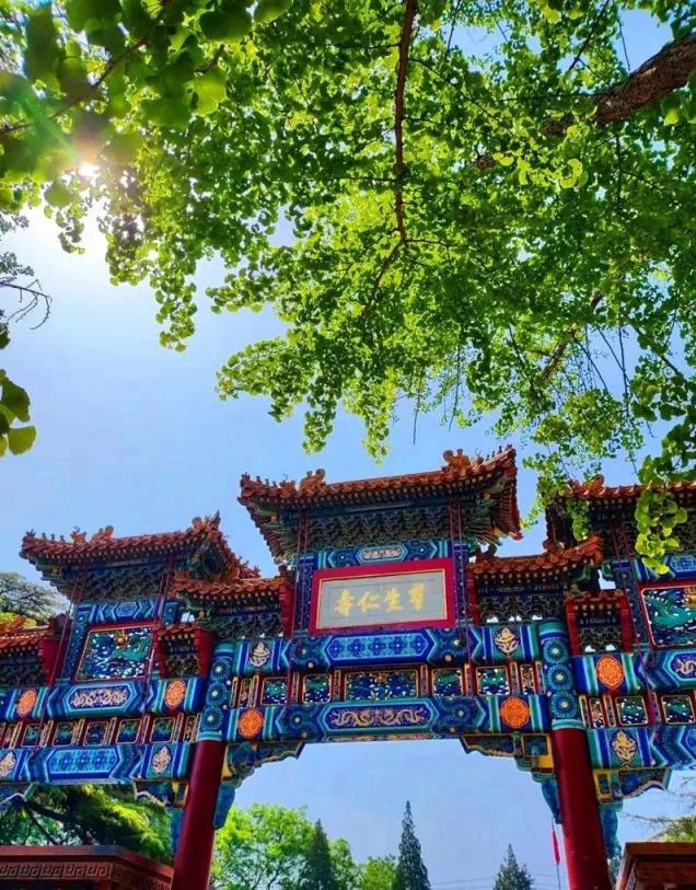 地坛公园北门牌楼,在绿荫映衬下灿烂辉煌.孙艳文摄