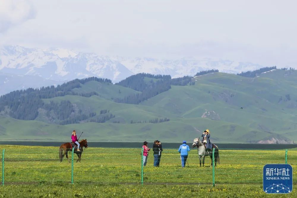5月19日,游客在位于新疆新源县的那拉提旅游风景区观光.
