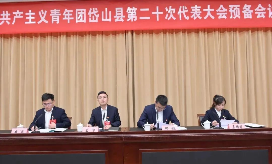 你好团代会 | 团岱山县委围绕青年助力共富书写建设共同富裕海岛样板"