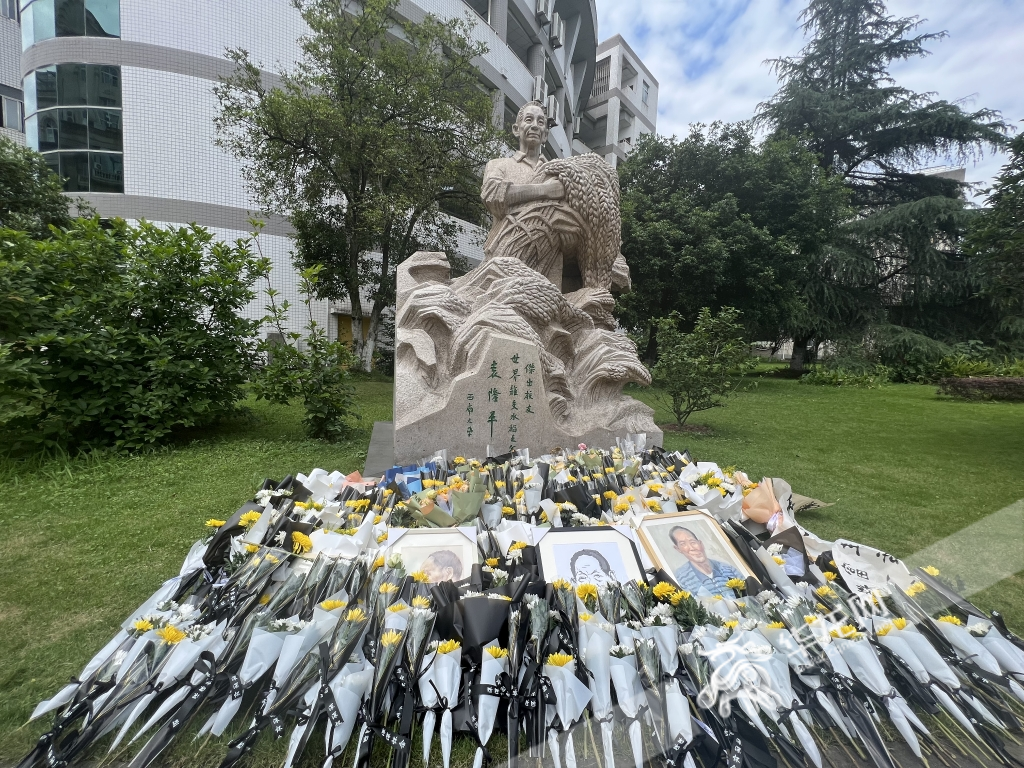 西南大学袁隆平雕像.华龙网-新重庆客户端 记者 秦思思 摄