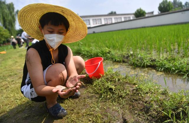 2022年7月8日,小朋友體驗捉泥鰍.資料圖/新京報記者 李木易 攝