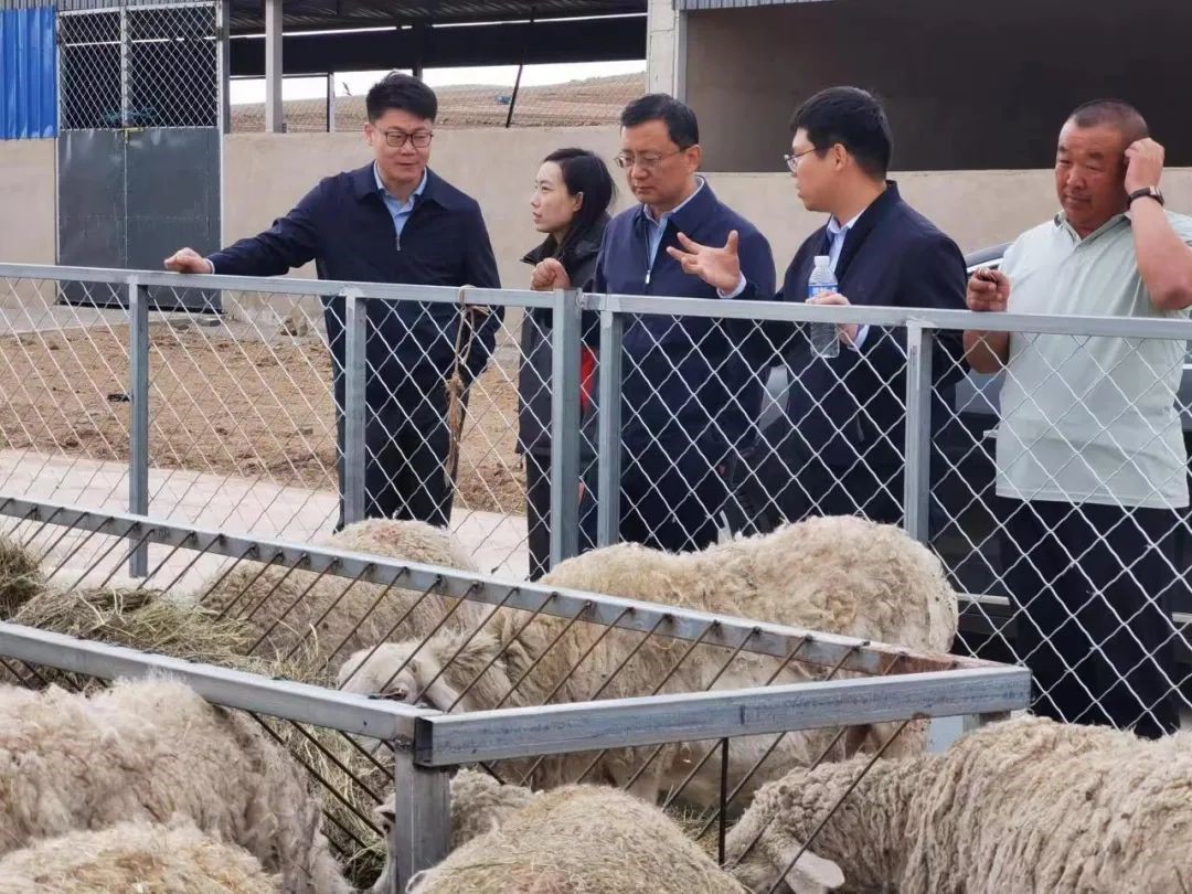 乌兰察布市委常委,副市长雷昆在化德县调研乡村教育发展情况和中央